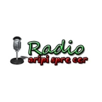 logo Radio Aripi Spre Сer